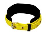 10CINSSCAR-CINTURON DE SEGURIDAD 3 PULGADAS CON BANDA DE NYLON CON RESPALDO